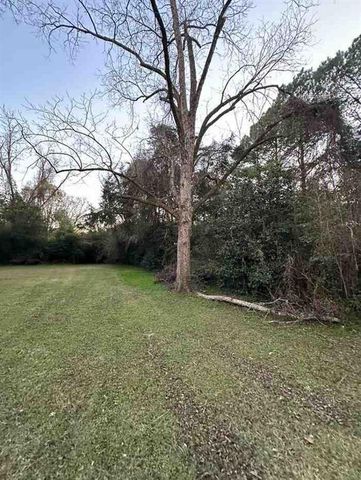 4225 Greaves Road, Eight Mile, AL 36613