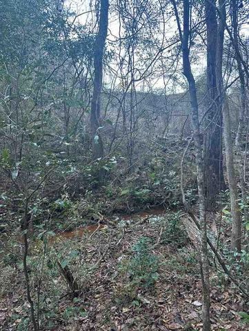 4225 Greaves Road, Eight Mile, AL 36613