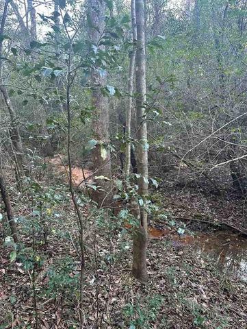 4225 Greaves Road, Eight Mile, AL 36613