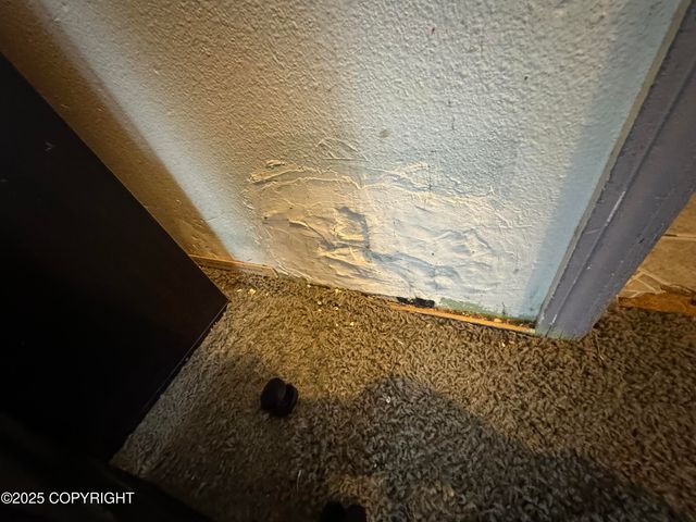 8836 McClellan Circle, Anchorage, AK 99502