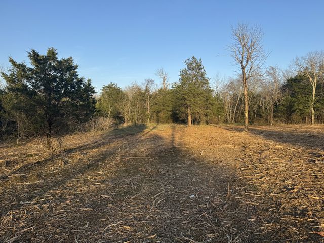 0 Joe Peay Road, Spring Hill, TN 37174