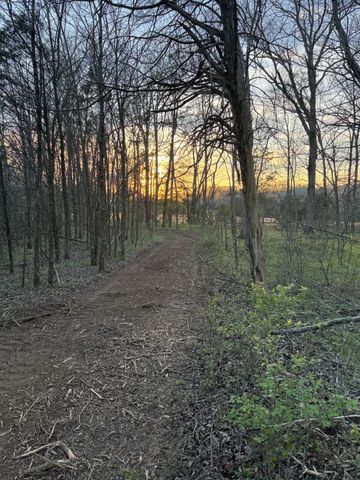 0 Joe Peay Road, Spring Hill, TN 37174
