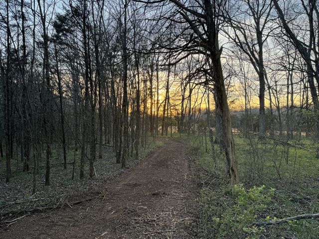 0 Joe Peay Road, Spring Hill, TN 37174