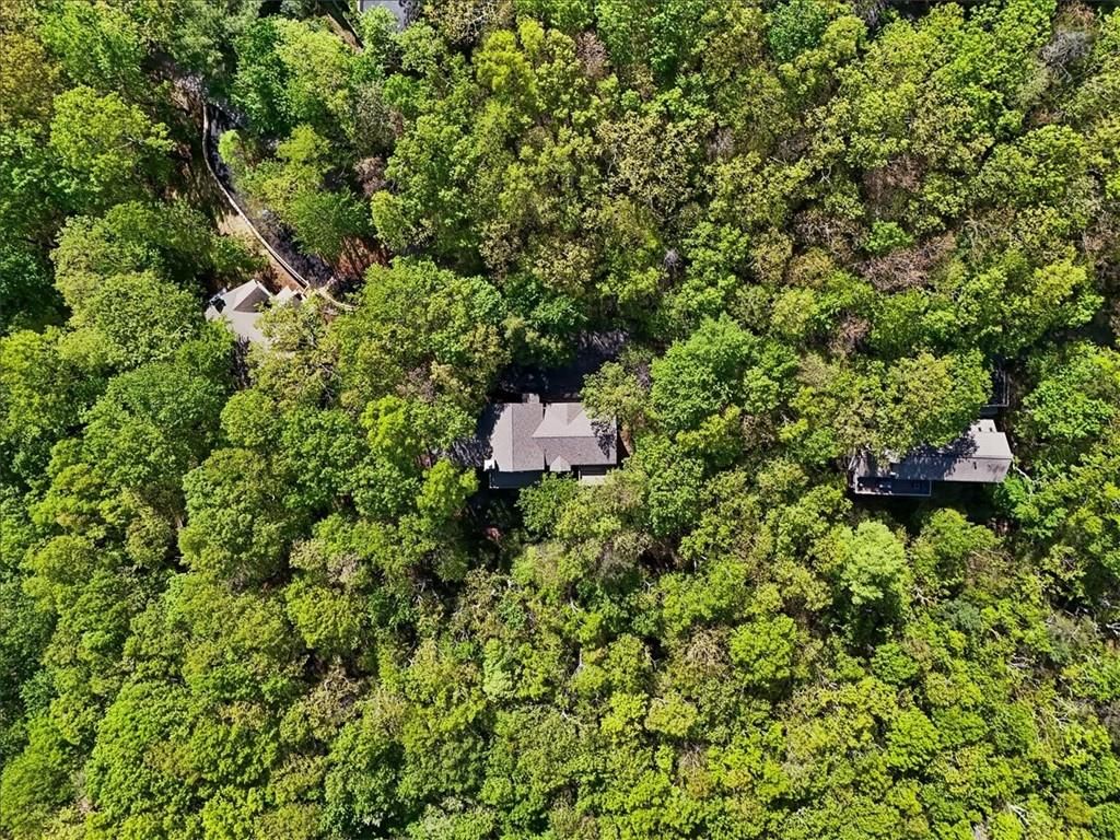 Image 60 of property listing at 117 Falcon Heights Lane, Big Canoe, GA 30134