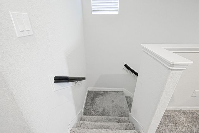 10005 Brickhouse Drive, Houston, TX 77080