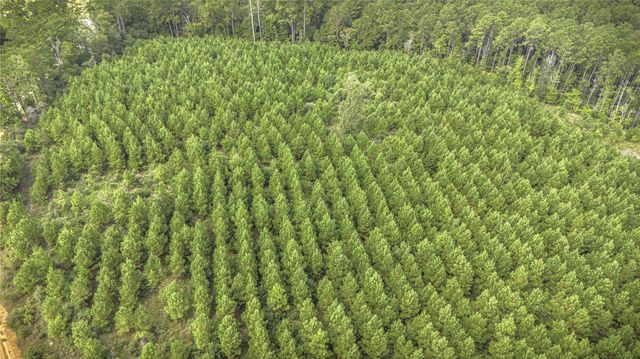 TBD Stutts Hill, Livingston, TX 77351