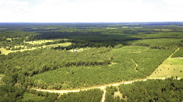 TBD Stutts Hill, Livingston, TX 77351