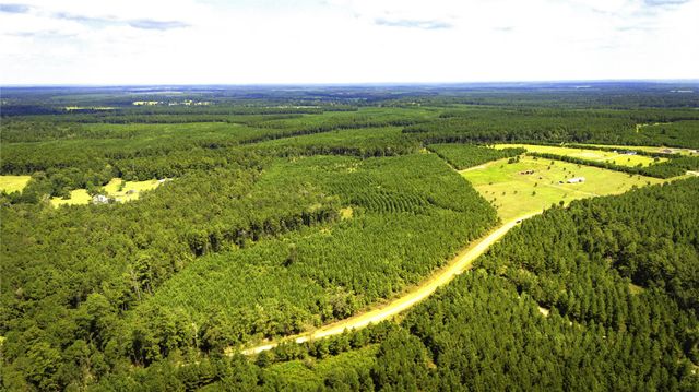 TBD Stutts Hill, Livingston, TX 77351