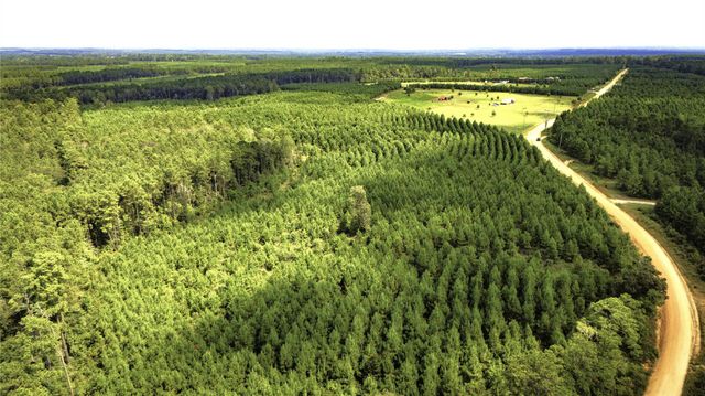 TBD Stutts Hill, Livingston, TX 77351