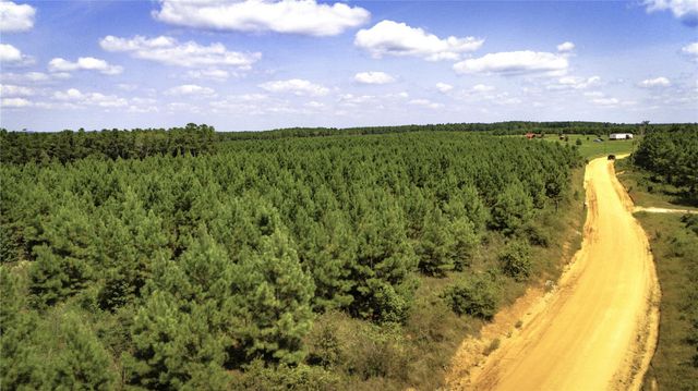 TBD Stutts Hill, Livingston, TX 77351