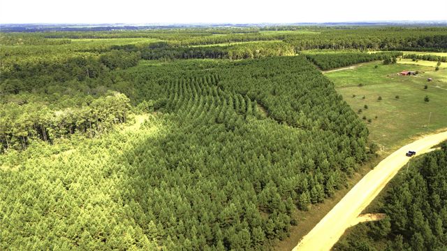 TBD Stutts Hill, Livingston, TX 77351