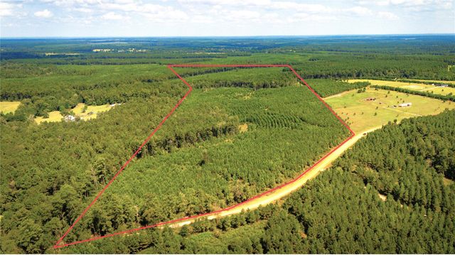 TBD Stutts Hill, Livingston, TX 77351