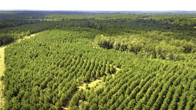 TBD Stutts Hill, Livingston, TX 77351