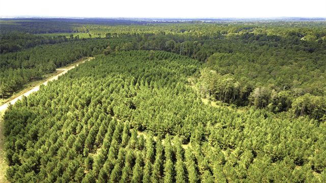 TBD Stutts Hill, Livingston, TX 77351