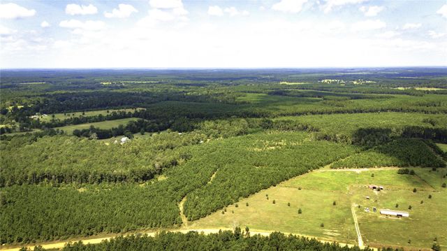 TBD Stutts Hill, Livingston, TX 77351