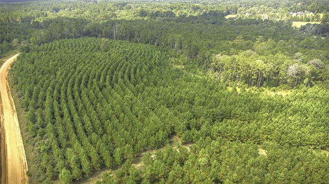 TBD Stutts Hill, Livingston, TX 77351