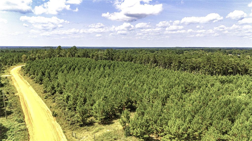 TBD Stutts Hill, Livingston, TX 77351