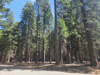 Lot # 6 Colossians Way, Shingletown, CA 96088