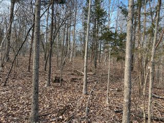 2371-B County Road 359, Thayer, MO 65791