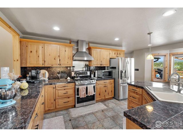 241 Deadhorse Mountain Ct, Livermore, CO 80536