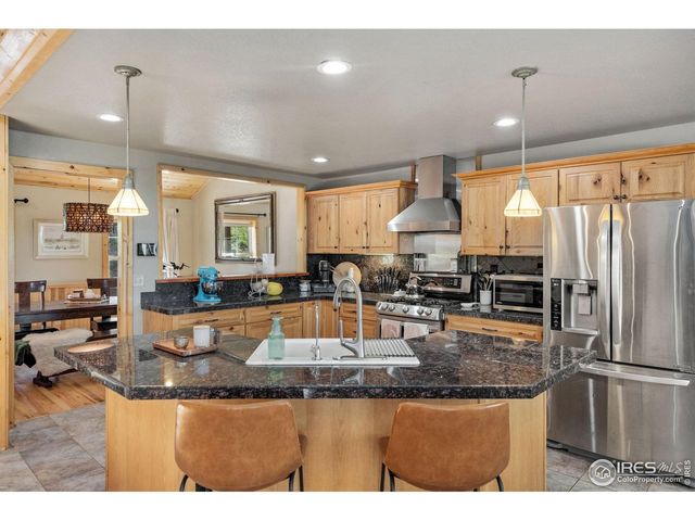 241 Deadhorse Mountain Ct, Livermore, CO 80536