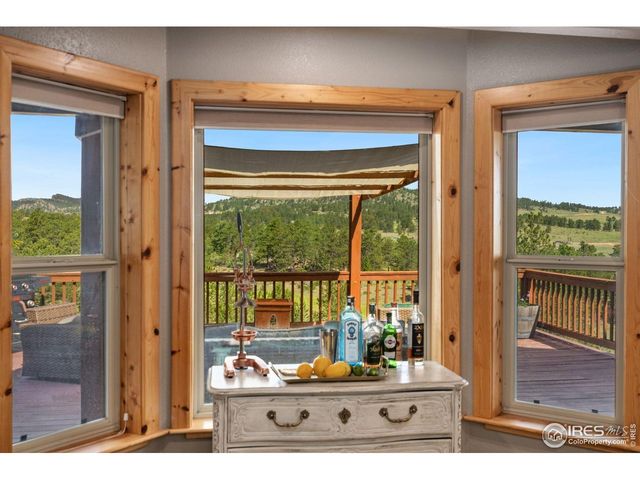 241 Deadhorse Mountain Ct, Livermore, CO 80536