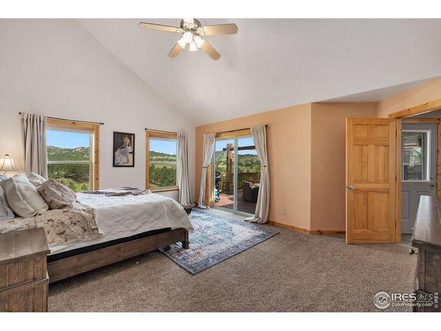 241 Deadhorse Mountain Ct, Livermore, CO 80536