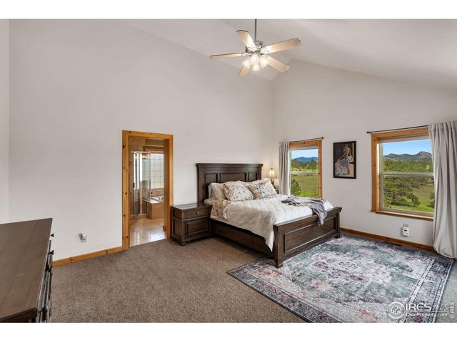 241 Deadhorse Mountain Ct, Livermore, CO 80536