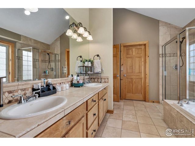 241 Deadhorse Mountain Ct, Livermore, CO 80536