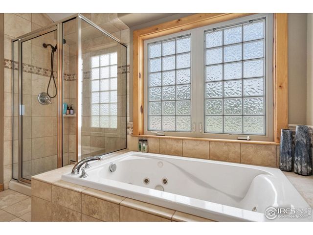 241 Deadhorse Mountain Ct, Livermore, CO 80536