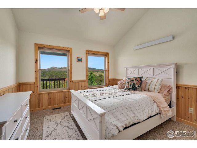 241 Deadhorse Mountain Ct, Livermore, CO 80536