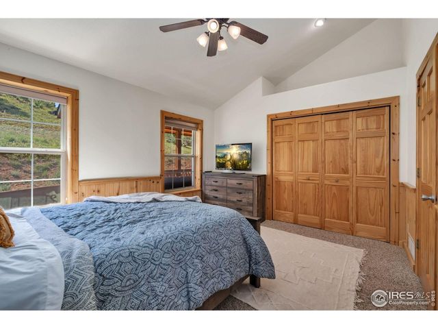 241 Deadhorse Mountain Ct, Livermore, CO 80536