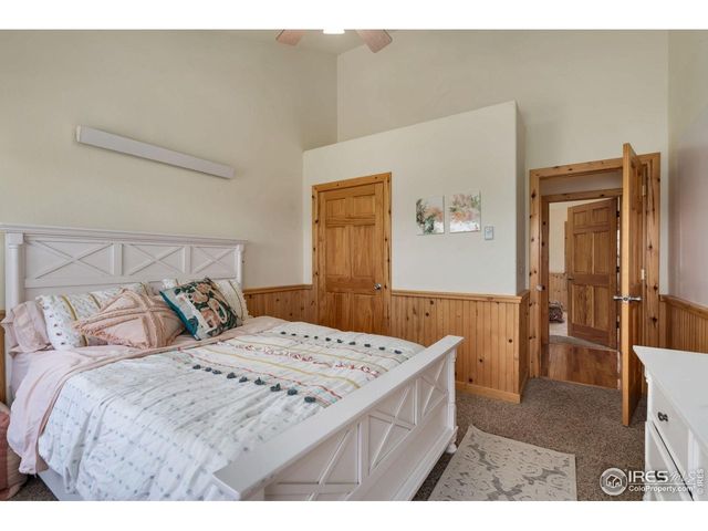 241 Deadhorse Mountain Ct, Livermore, CO 80536