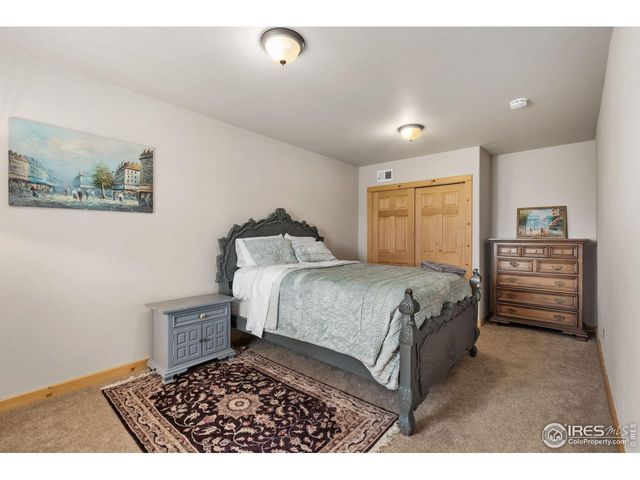 241 Deadhorse Mountain Ct, Livermore, CO 80536