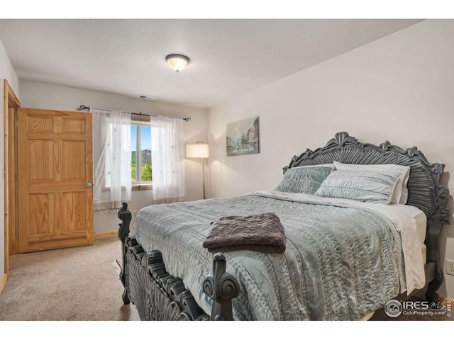 241 Deadhorse Mountain Ct, Livermore, CO 80536