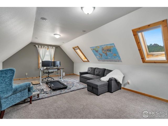 241 Deadhorse Mountain Ct, Livermore, CO 80536