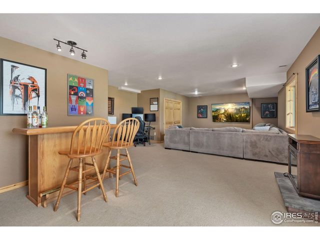 241 Deadhorse Mountain Ct, Livermore, CO 80536