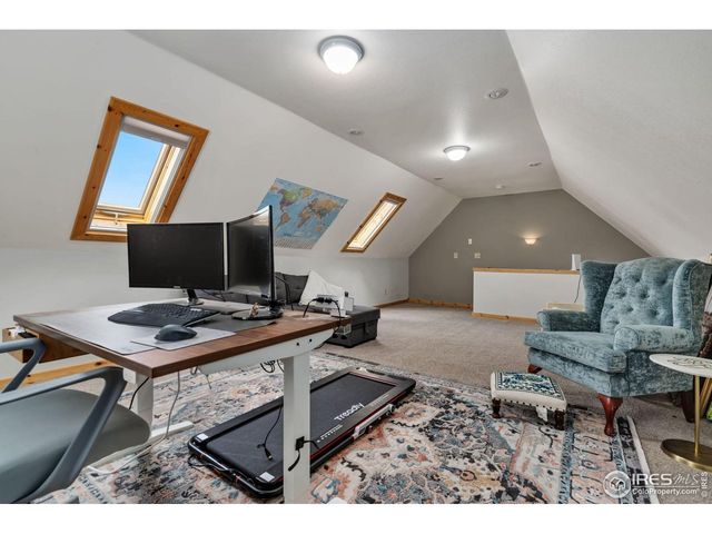 241 Deadhorse Mountain Ct, Livermore, CO 80536