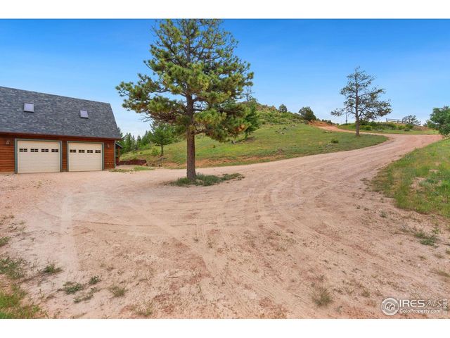241 Deadhorse Mountain Ct, Livermore, CO 80536