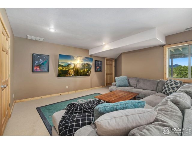 241 Deadhorse Mountain Ct, Livermore, CO 80536