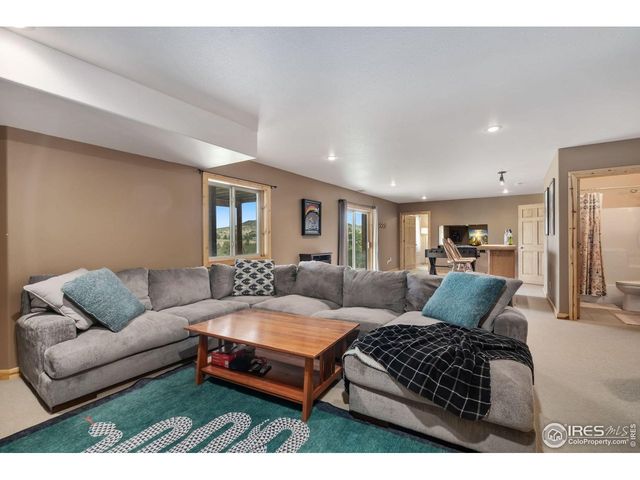 241 Deadhorse Mountain Ct, Livermore, CO 80536