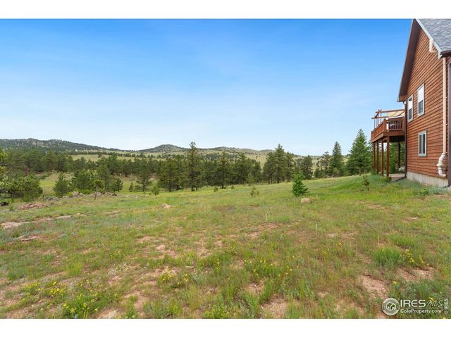 241 Deadhorse Mountain Ct, Livermore, CO 80536
