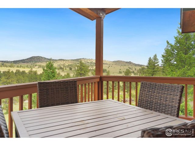 241 Deadhorse Mountain Ct, Livermore, CO 80536