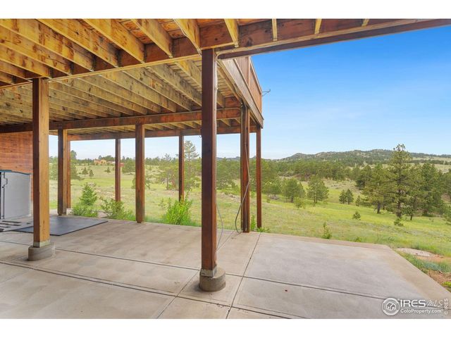 241 Deadhorse Mountain Ct, Livermore, CO 80536