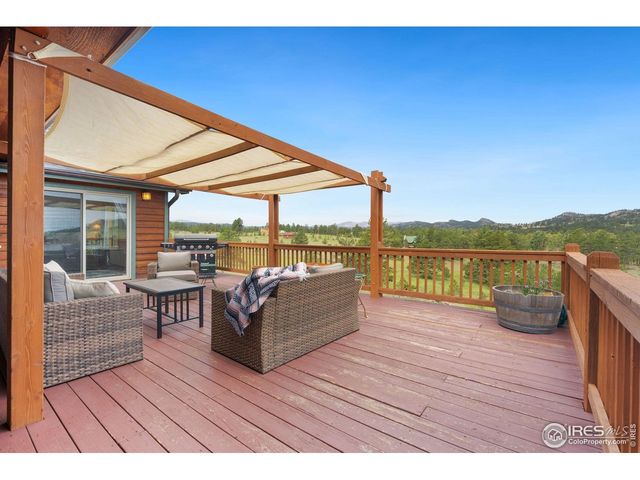 241 Deadhorse Mountain Ct, Livermore, CO 80536