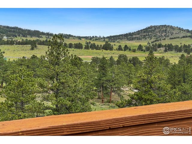 241 Deadhorse Mountain Ct, Livermore, CO 80536