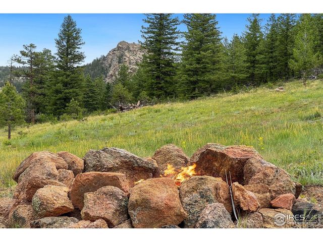 241 Deadhorse Mountain Ct, Livermore, CO 80536