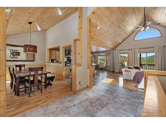 241 Deadhorse Mountain Ct, Livermore, CO 80536