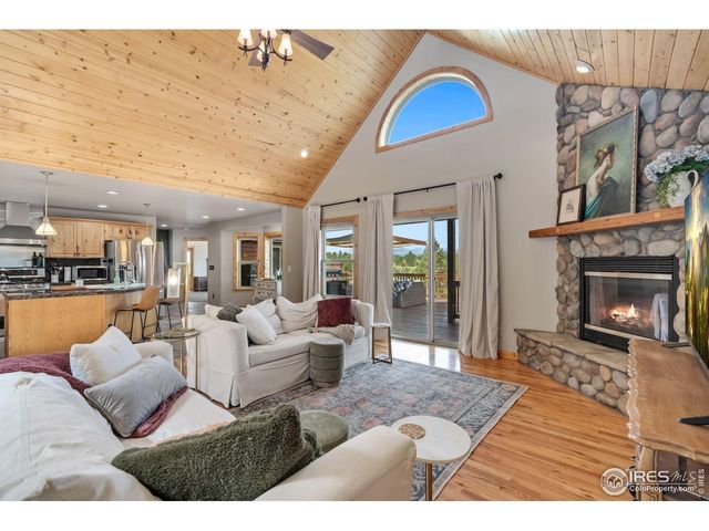 241 Deadhorse Mountain Ct, Livermore, CO 80536