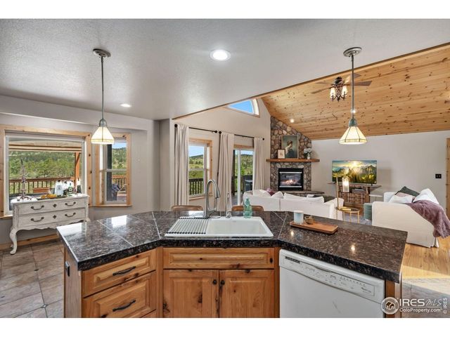 241 Deadhorse Mountain Ct, Livermore, CO 80536